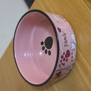Cat Food Dish